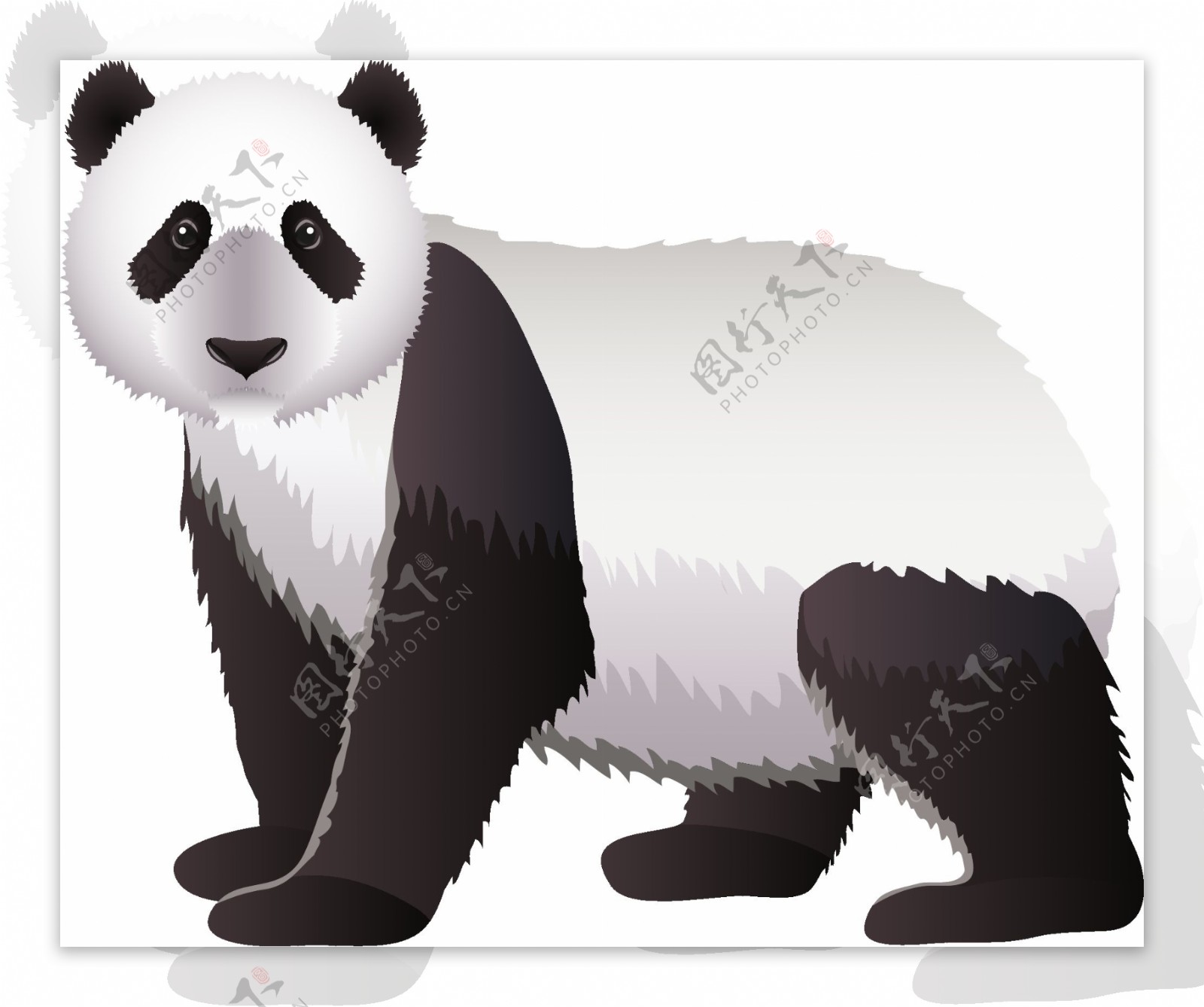动物熊猫元素