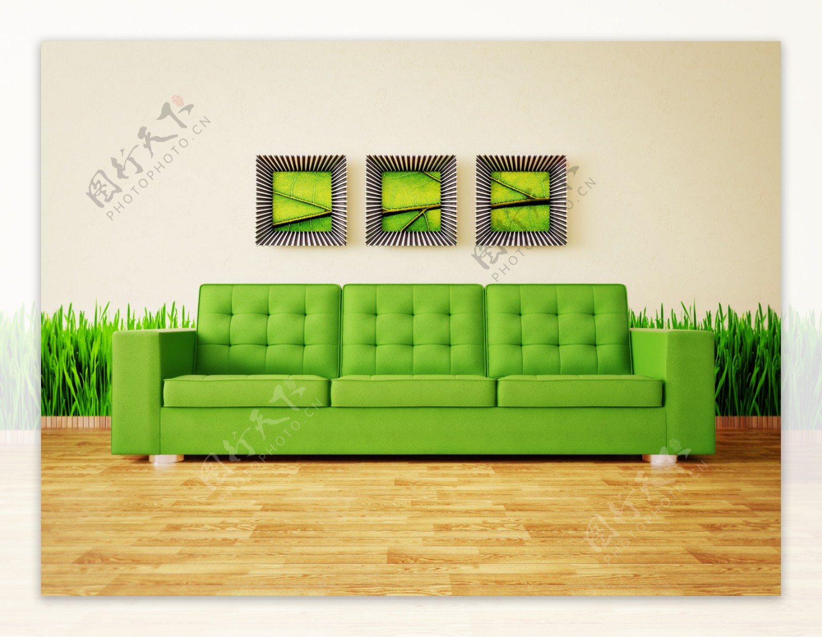 绿色沙发和植物图片