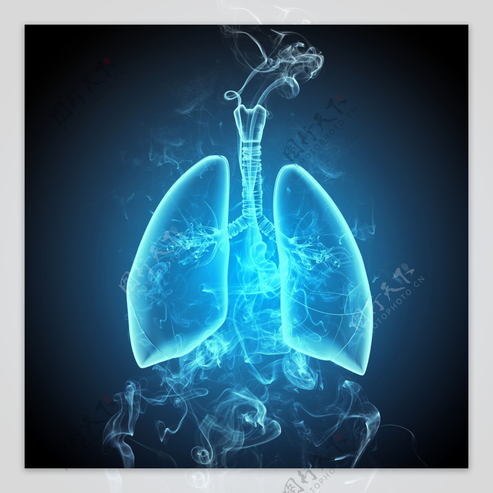肺器官与烟雾图片