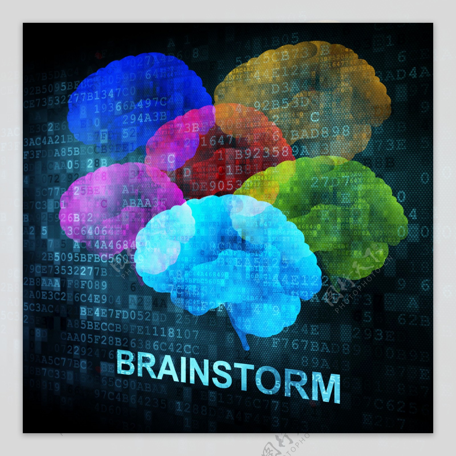 彩色大脑模型图片