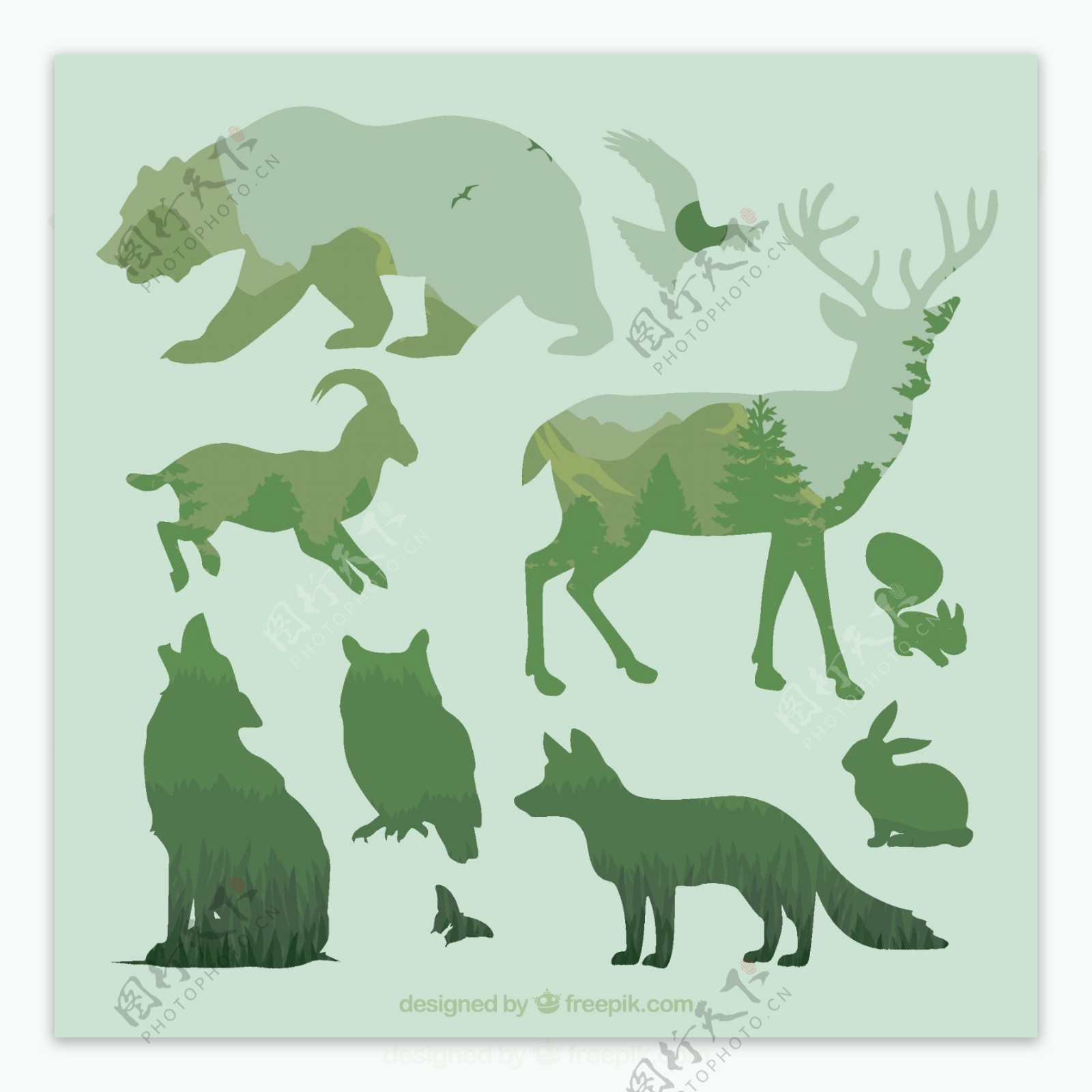 森林动物叠影