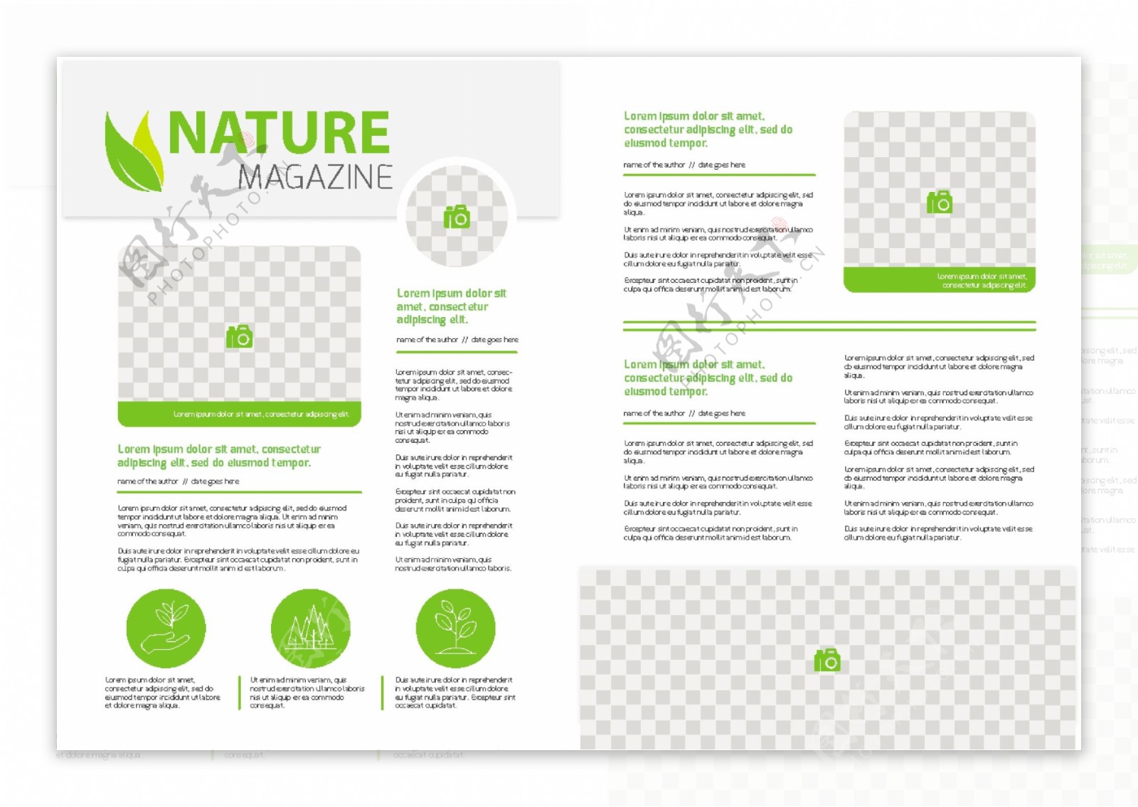 自然杂志模板与绿色细节