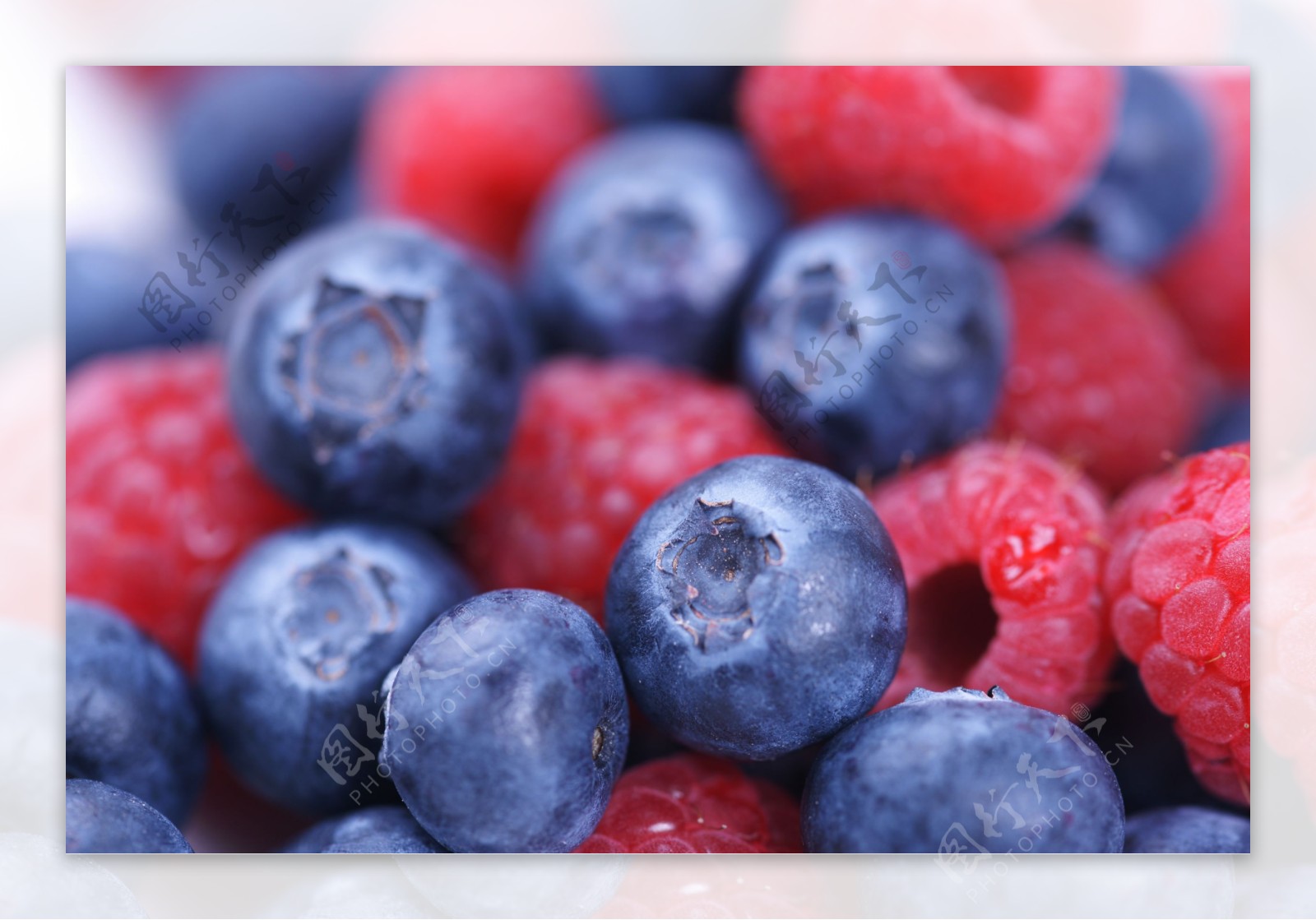 新鲜的蓝莓与树莓图片