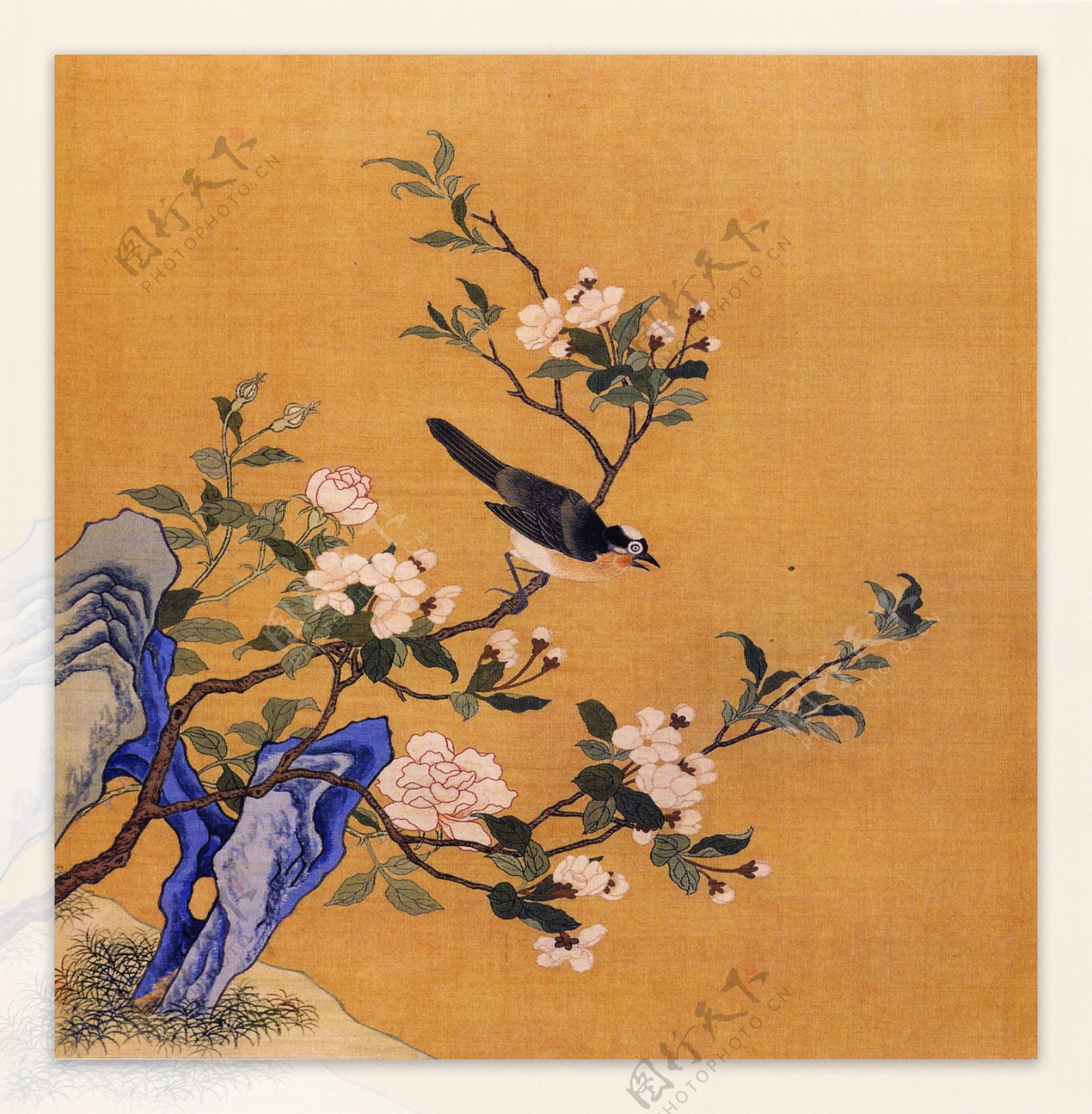 花鸟画中国古画传统国画04