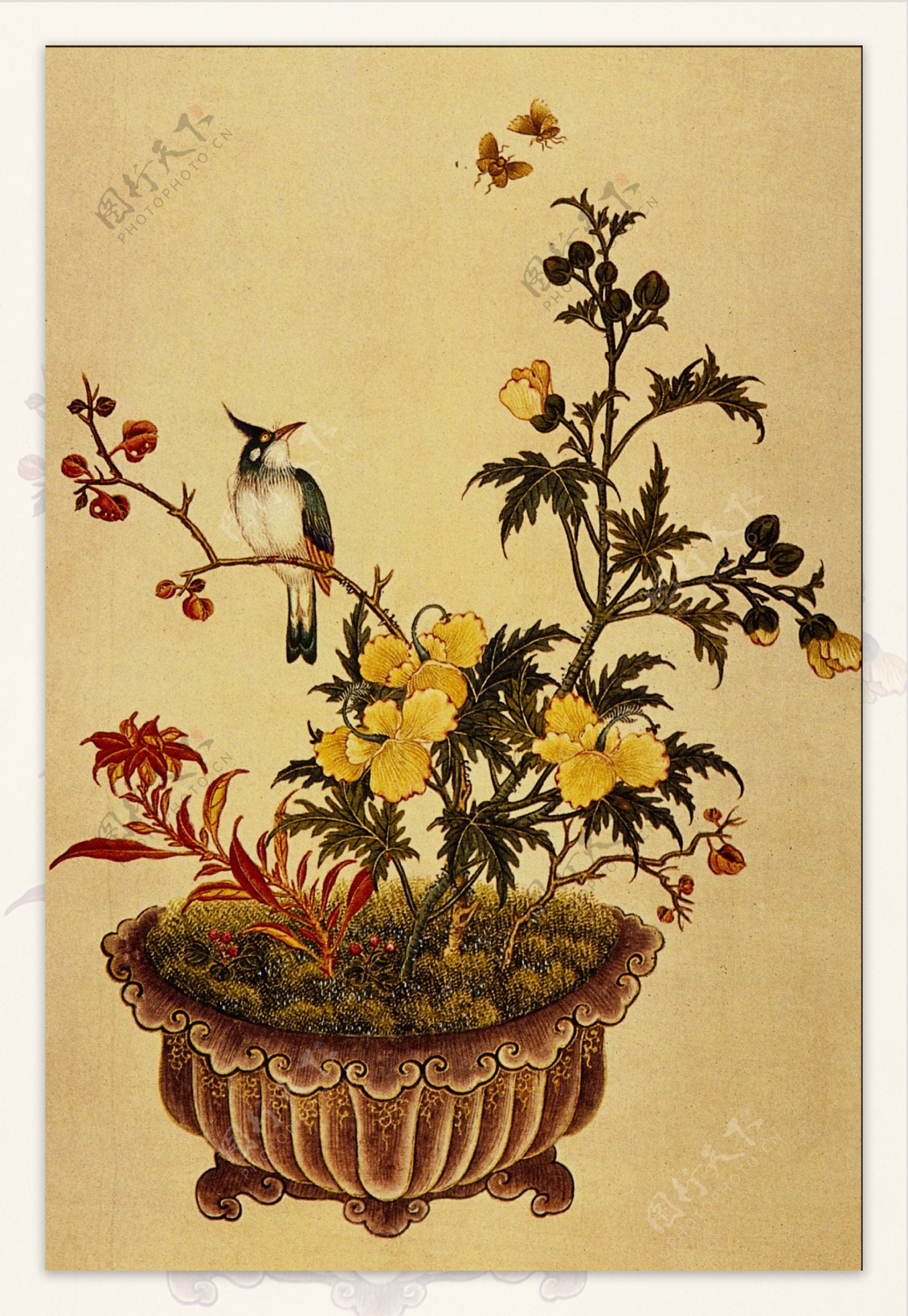 花鸟名画中国古藏0012