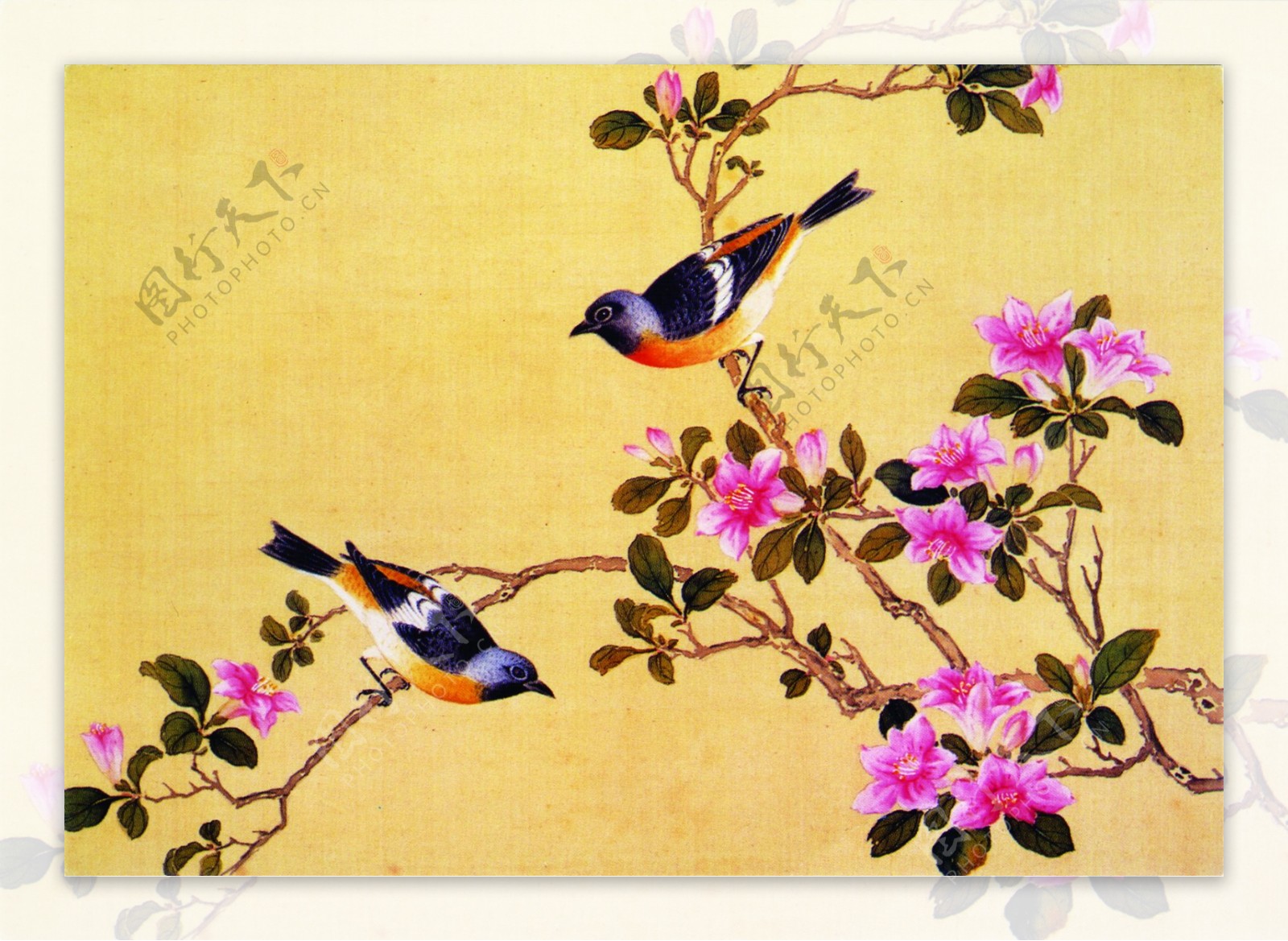 花鸟画中国古画传统国画09