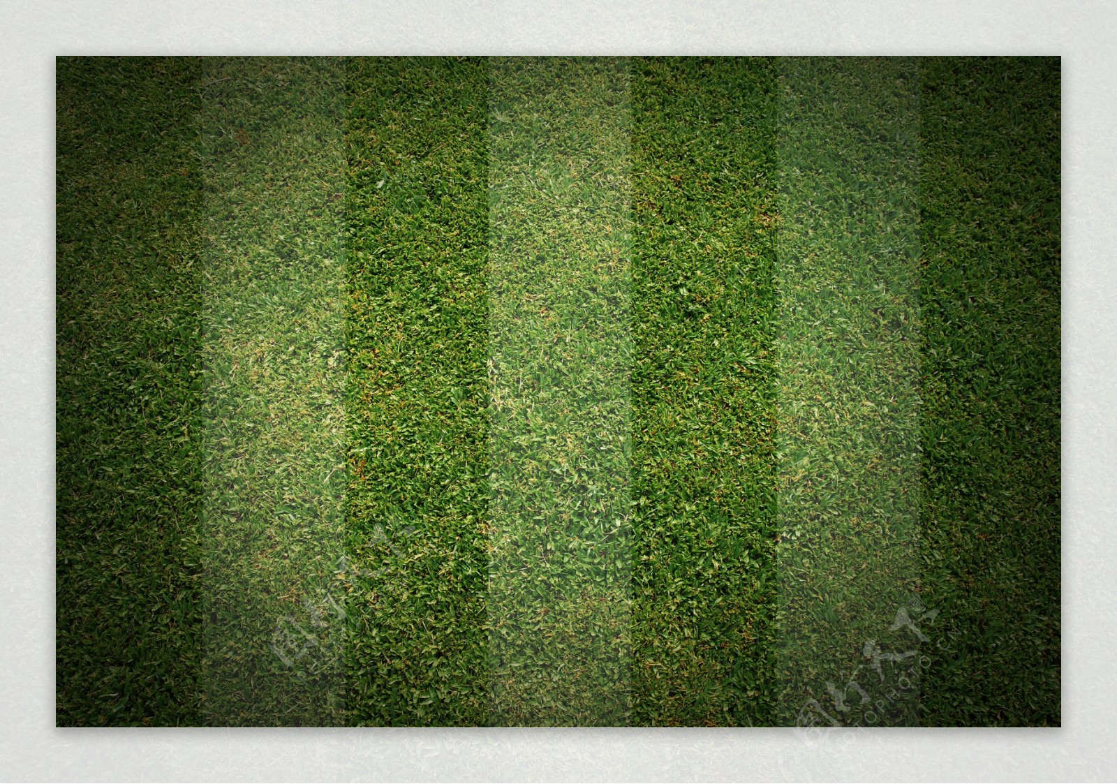 足球草地特写图片
