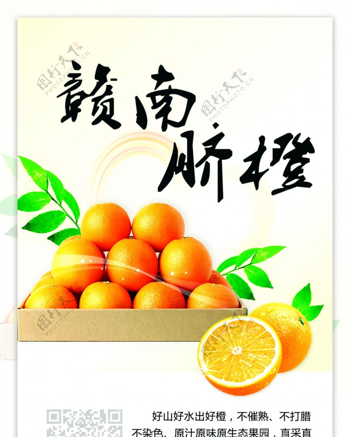 赣南脐橙x展板易拉宝广告水果
