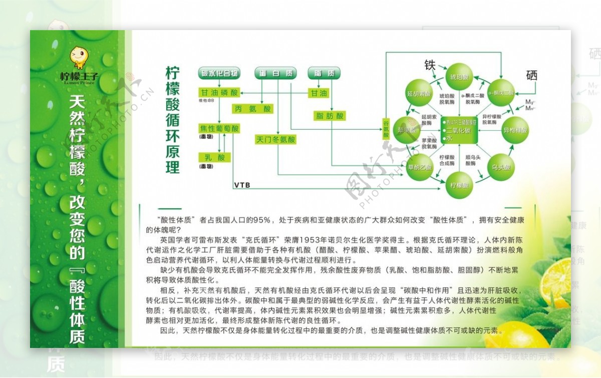 柠檬的药用价值80cmx50c