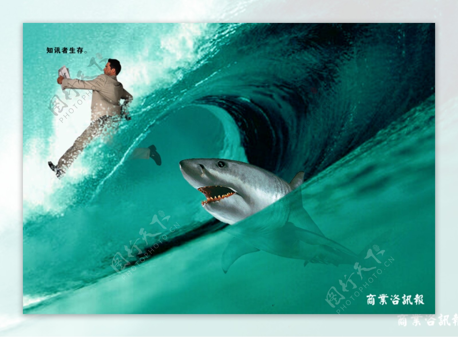 商业人士鲨鱼海水图片
