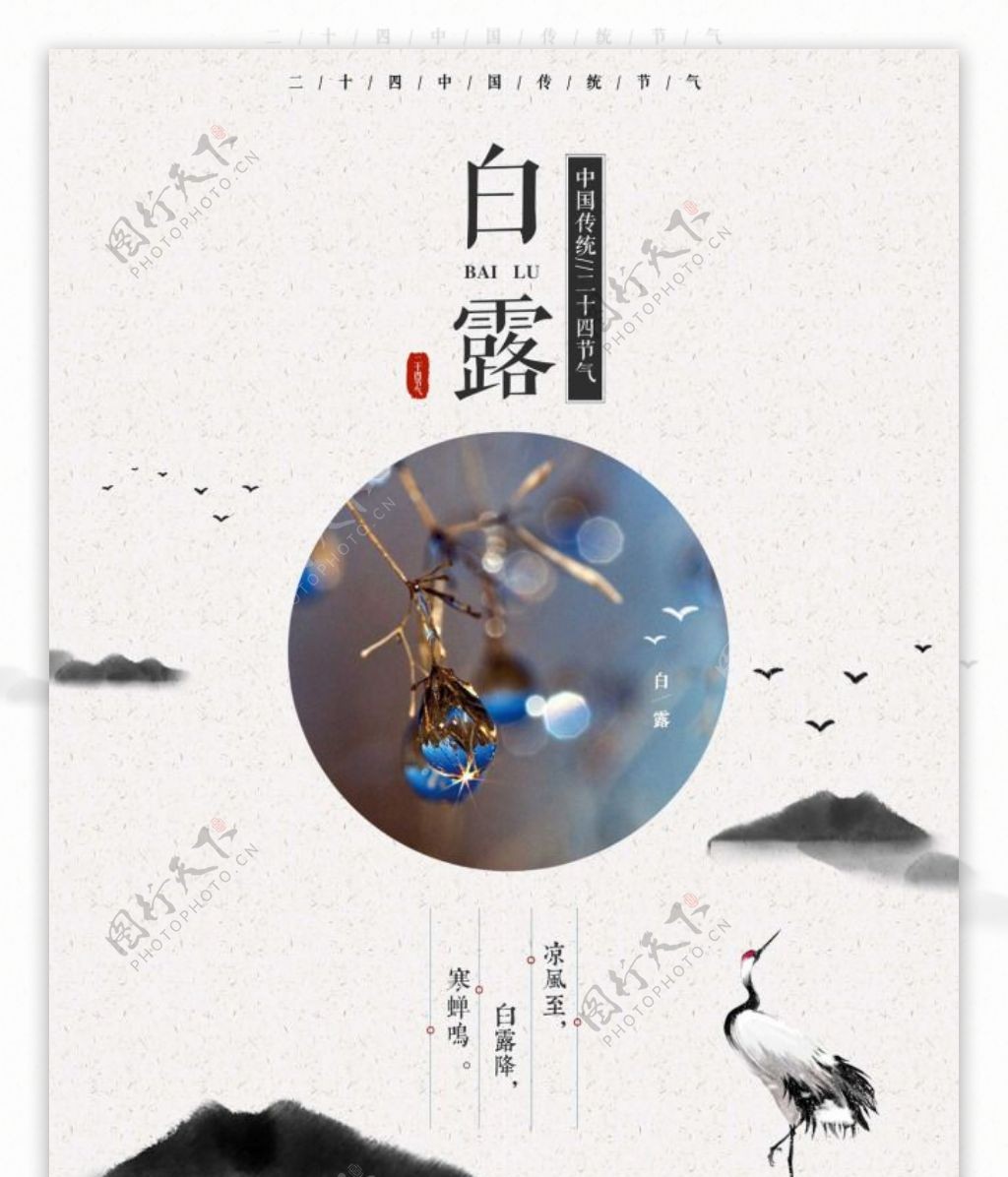 白露二十四节气水墨中国风海报设计微信配图