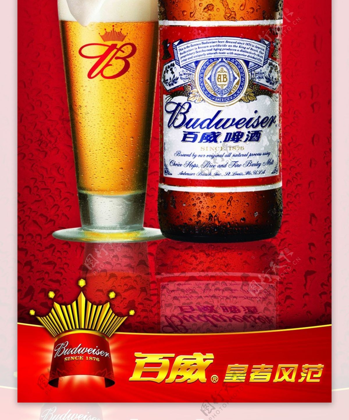 百威啤酒海报广告设计素材