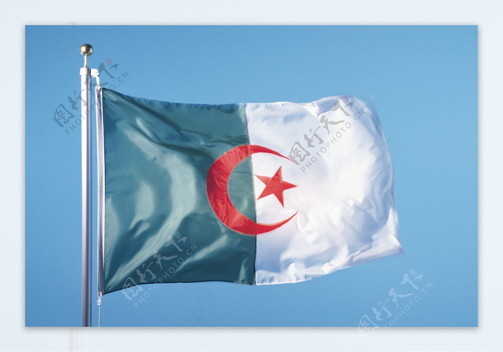 阿尔及利亚国旗图片