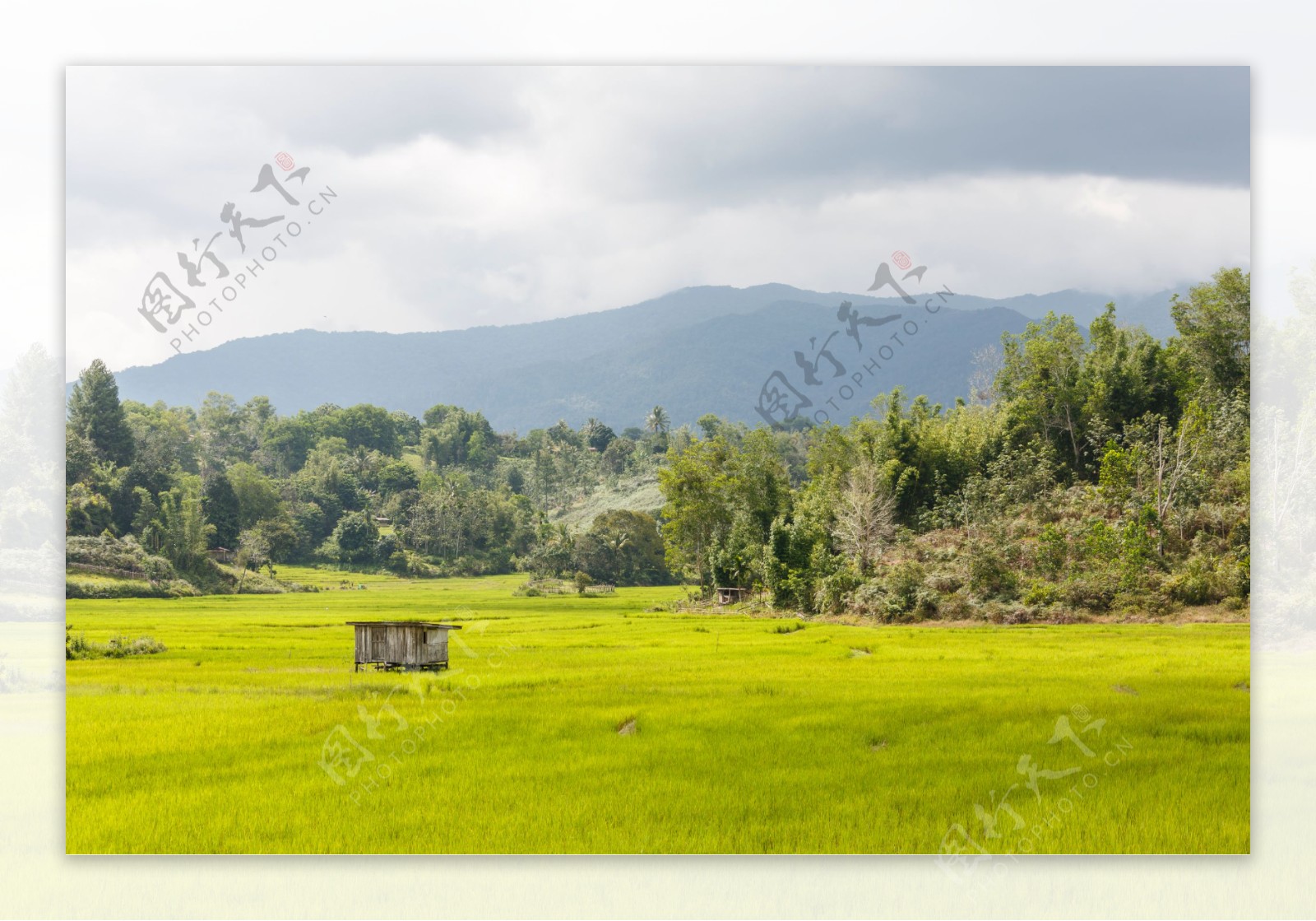 高山草原背景图片