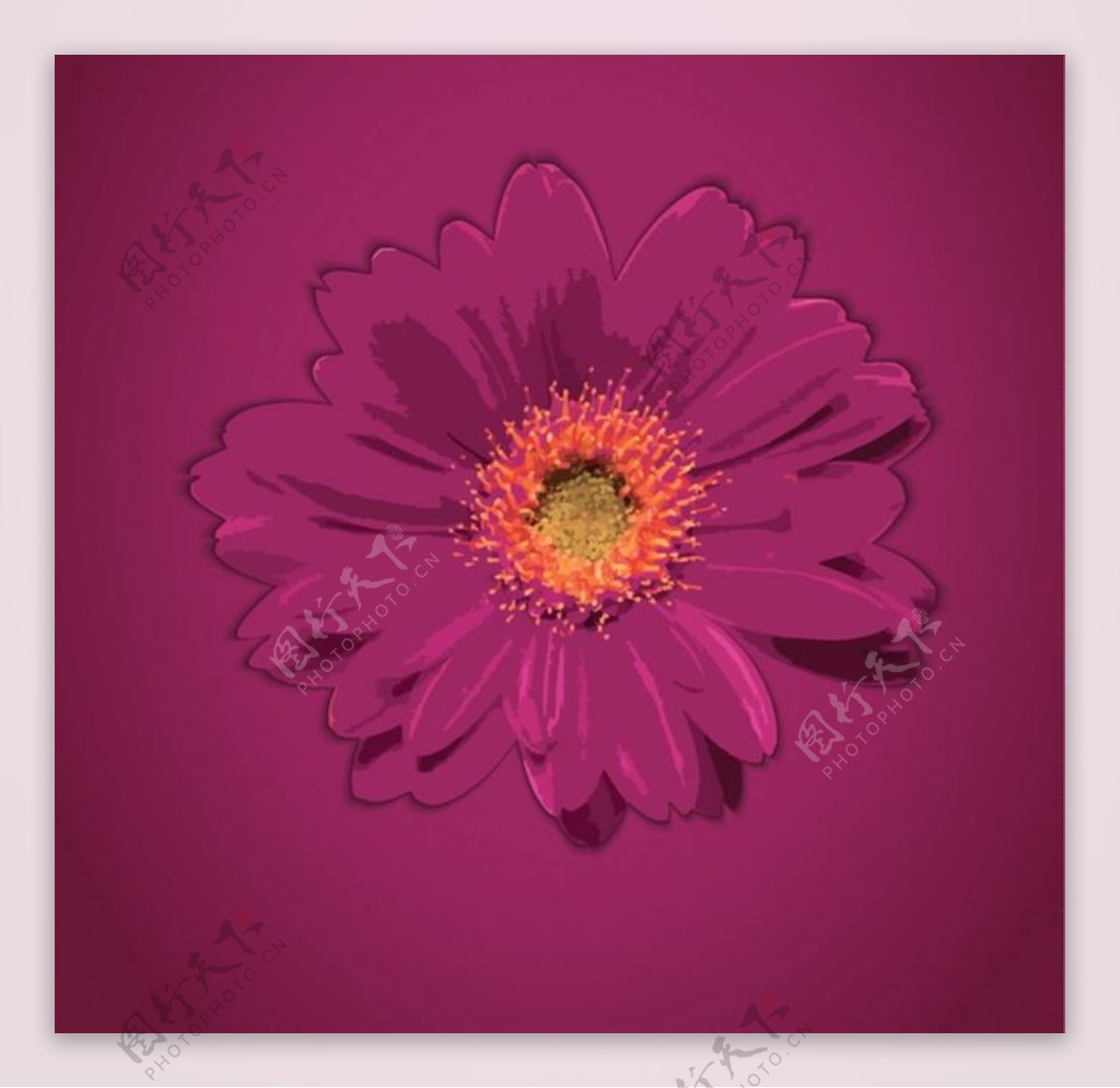 紫色花朵背景素材