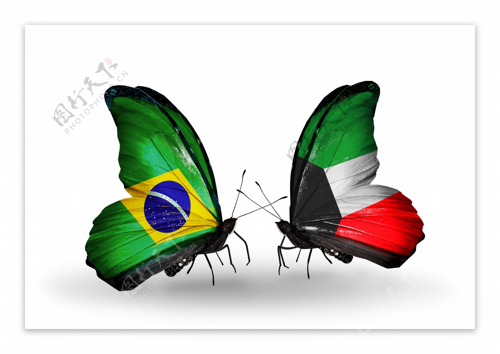 巴西与科威特蝴蝶国旗图片