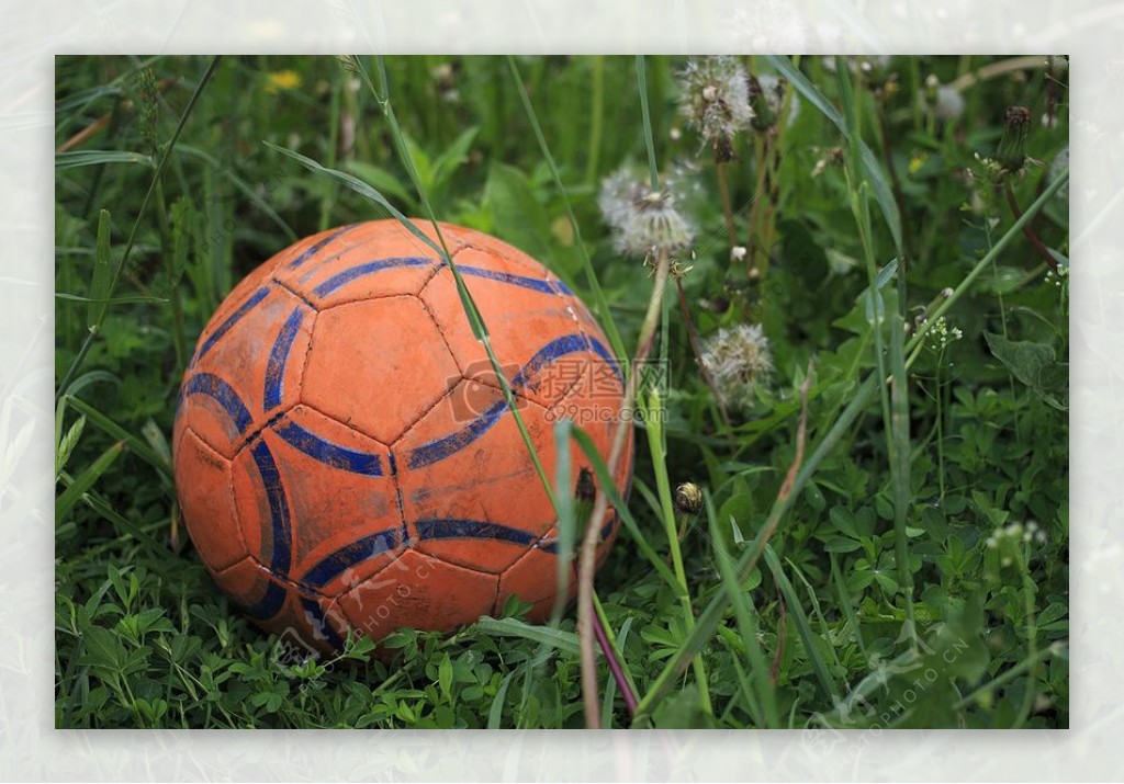 院子里的足球