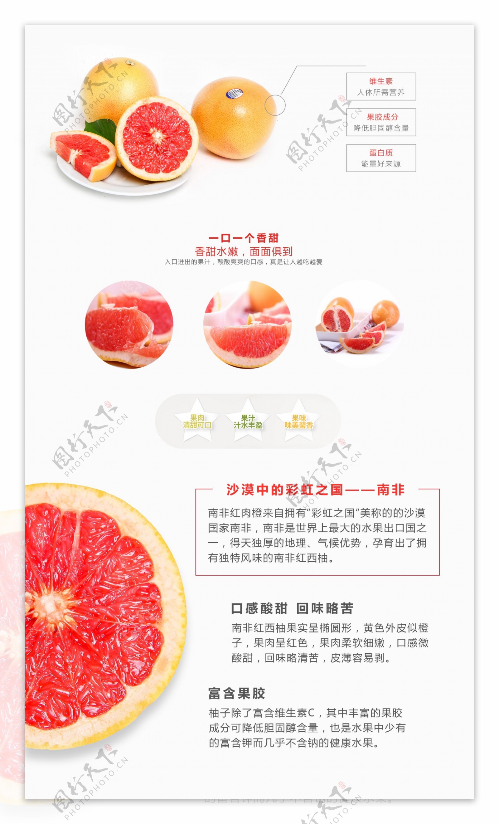 淘宝天猫红柚水果页面海报PSD源文件