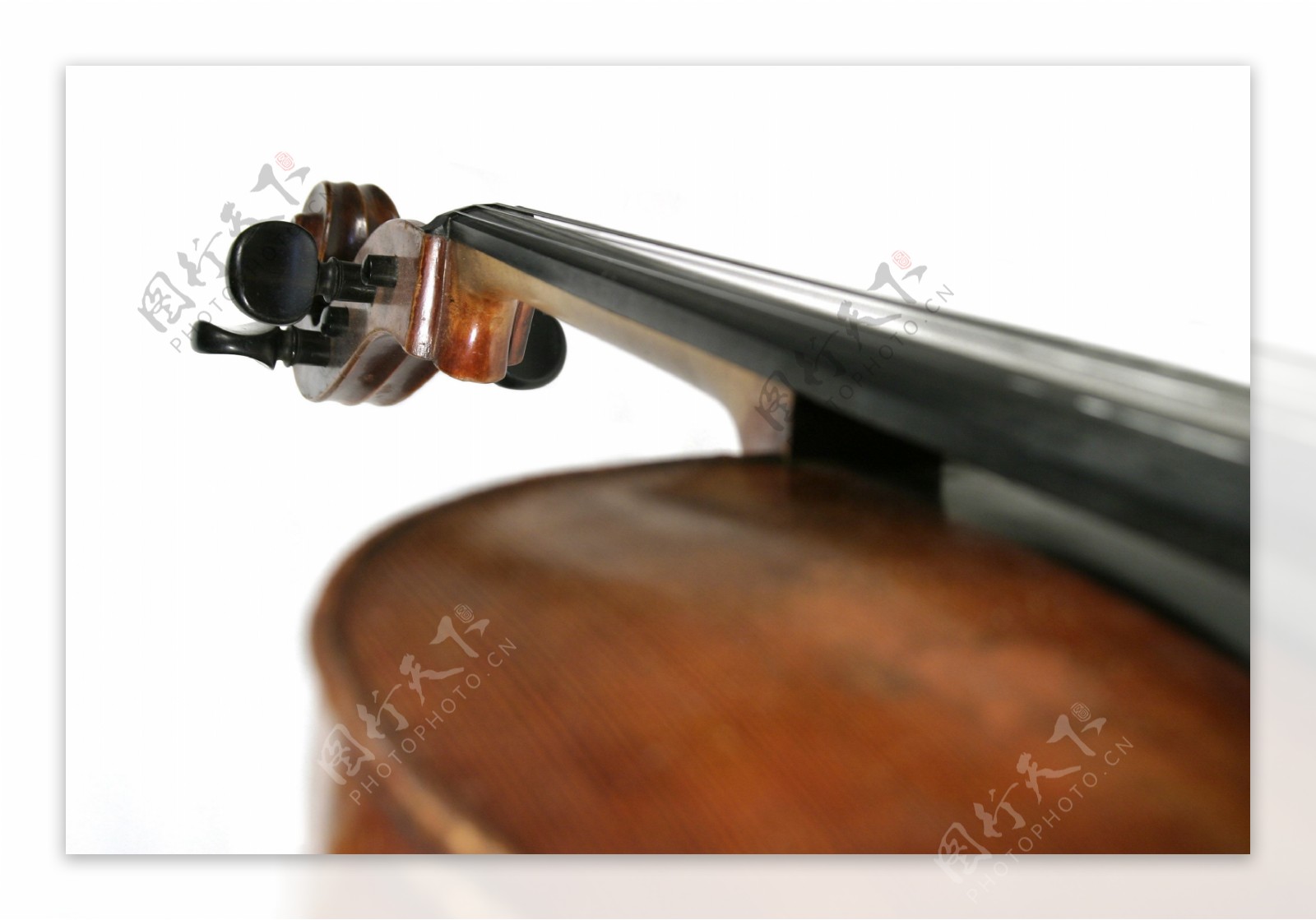 小提琴腮托图片