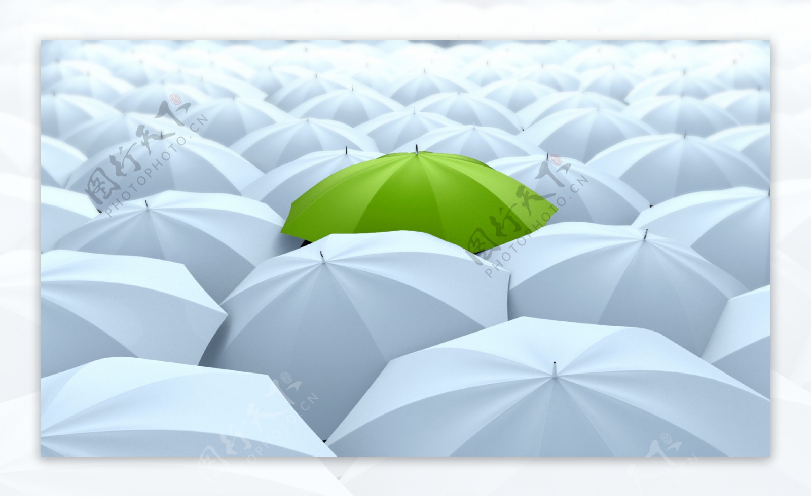 白色雨伞与绿色雨伞图片