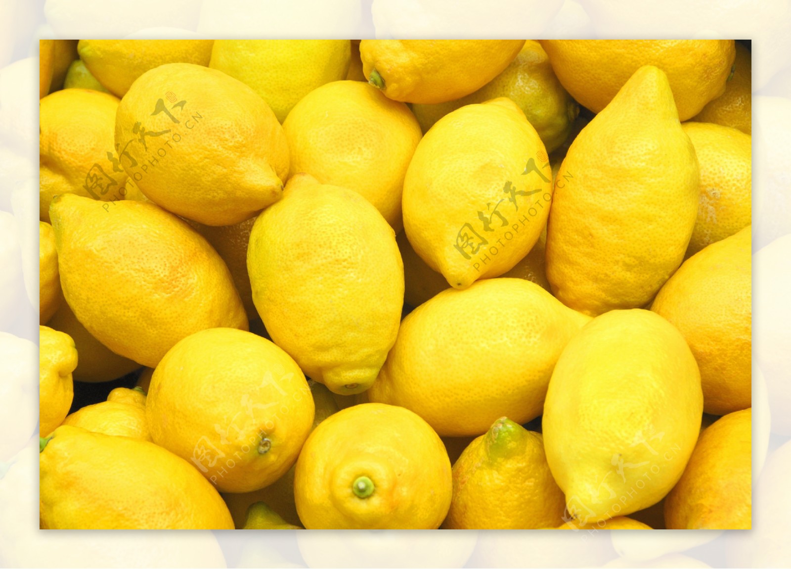黄色柠檬图片