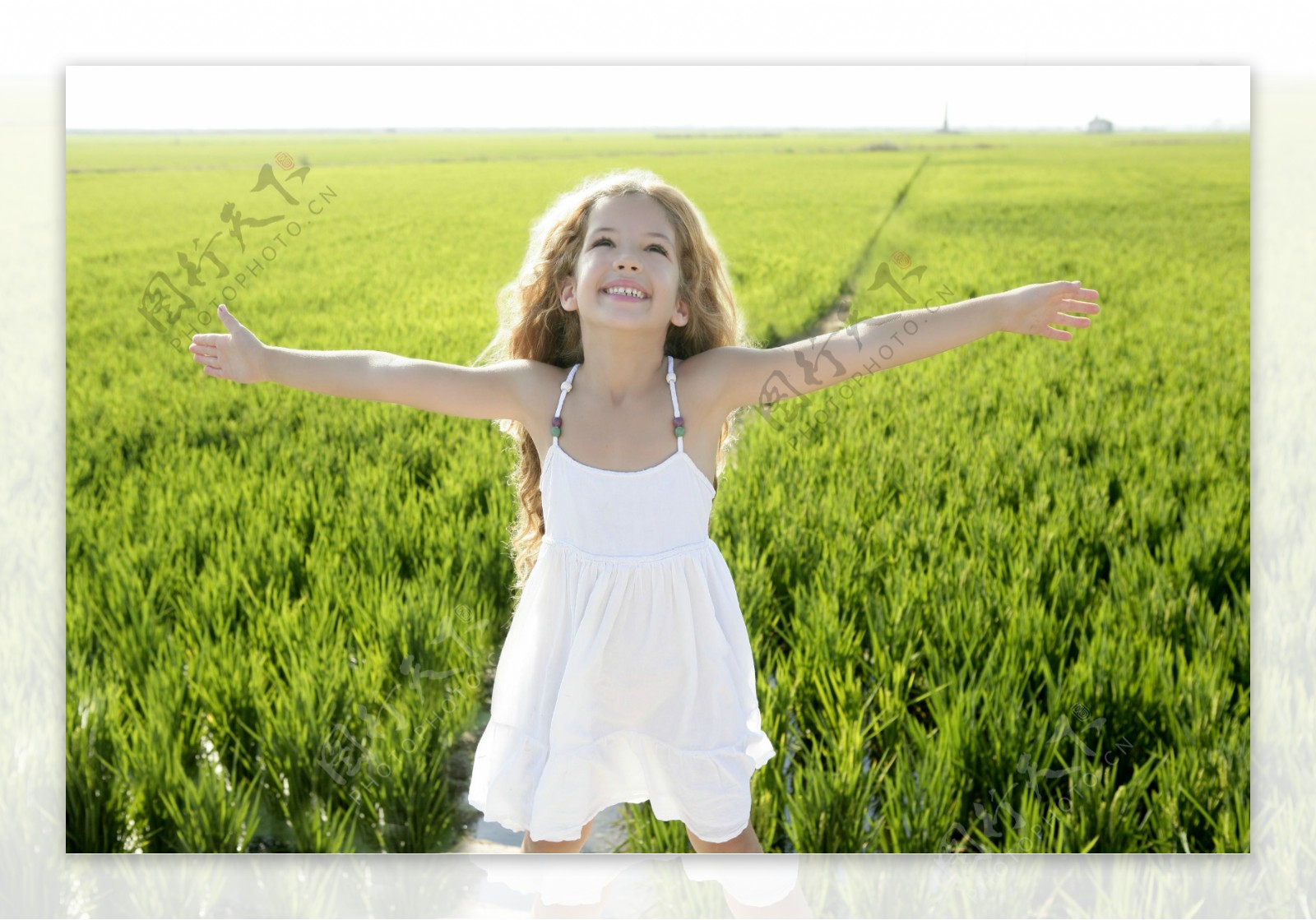 稻田里的快乐小女孩图片