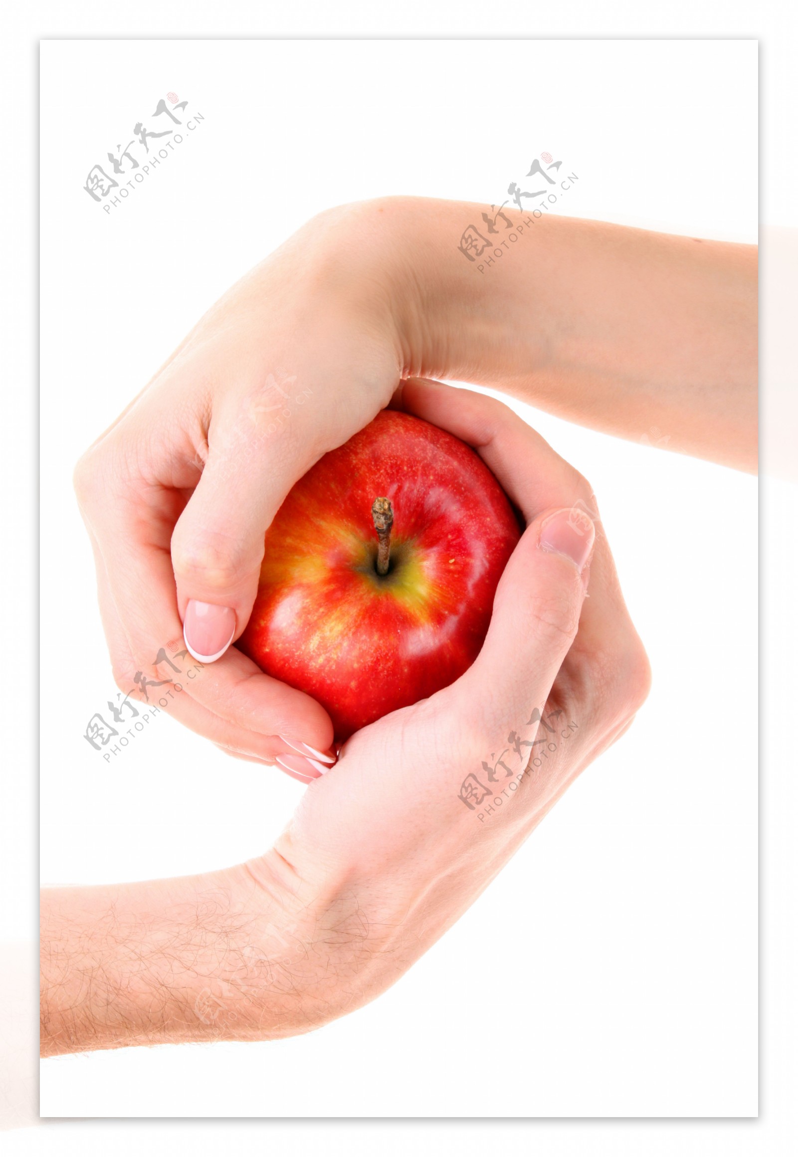 手握苹果高清图片