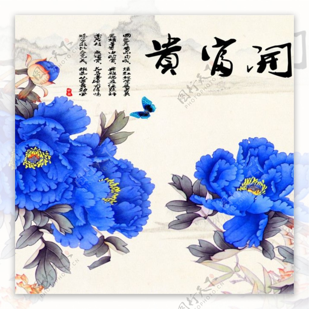 蓝色牡丹花图片