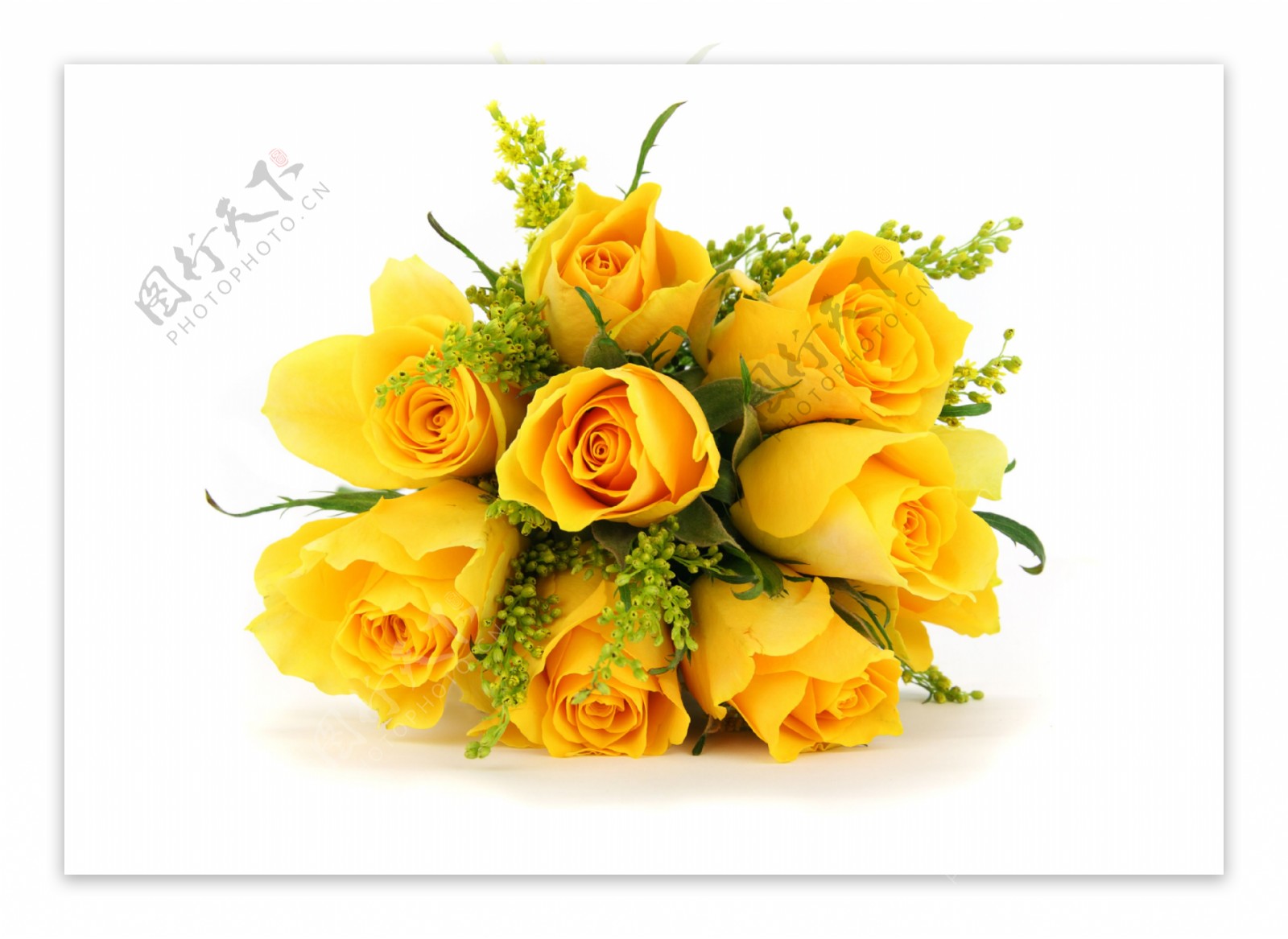 唯美黄色玫瑰花束图片