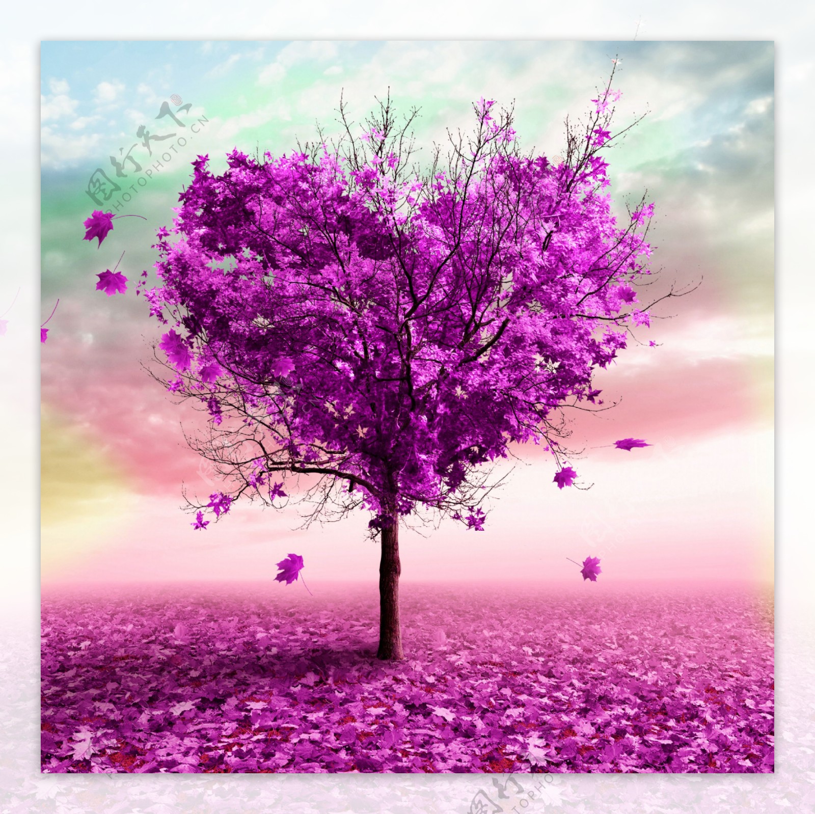 紫色树木装饰背景墙