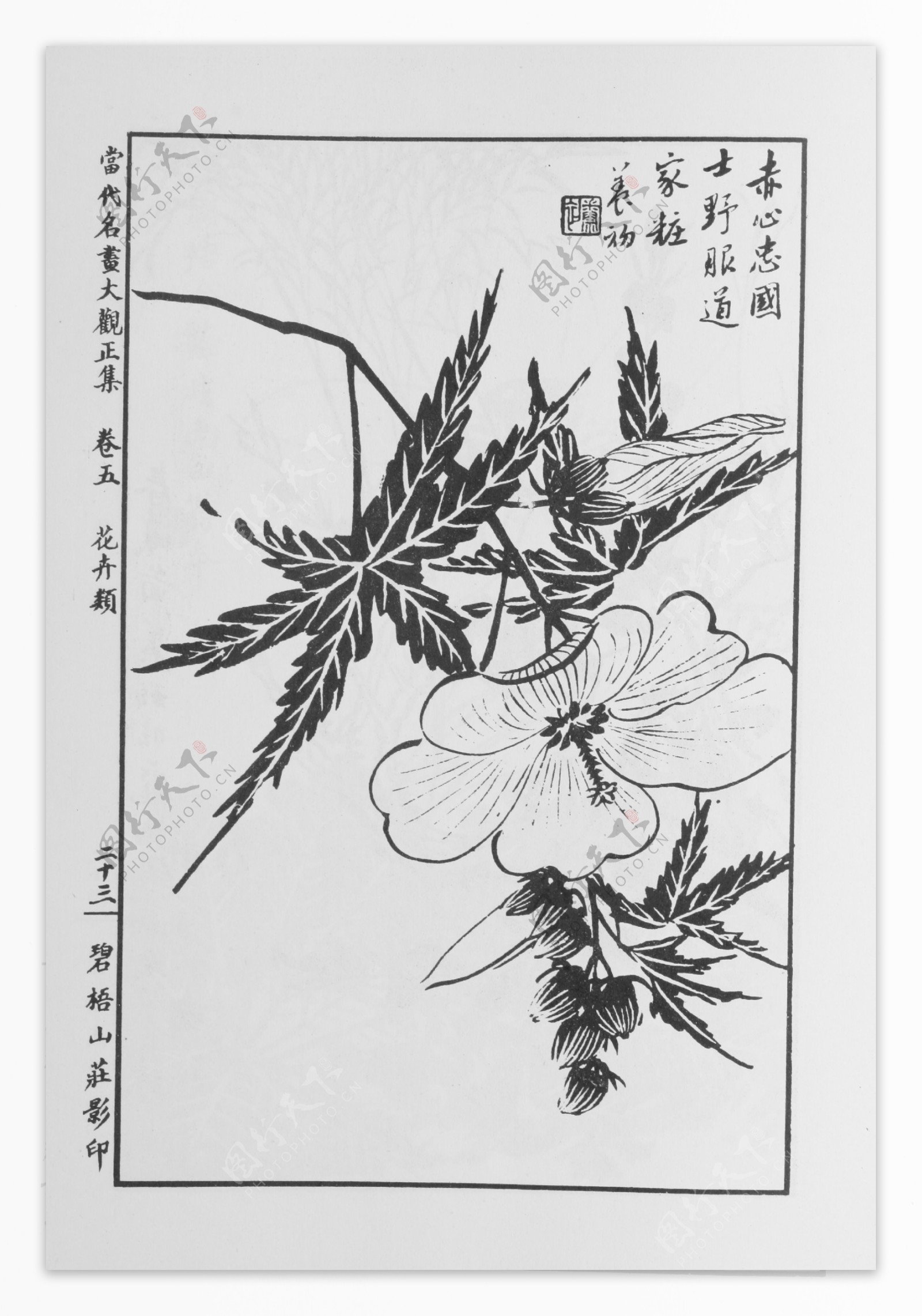 花卉画中国画当代名画大观正集34