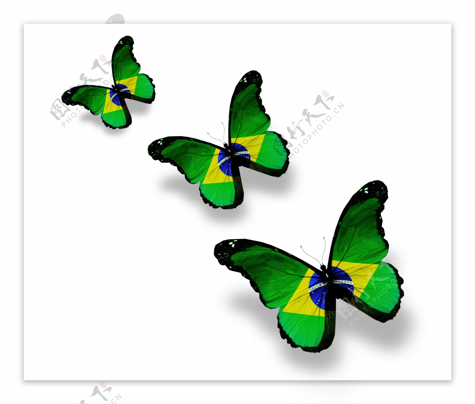 巴西国旗蝴蝶