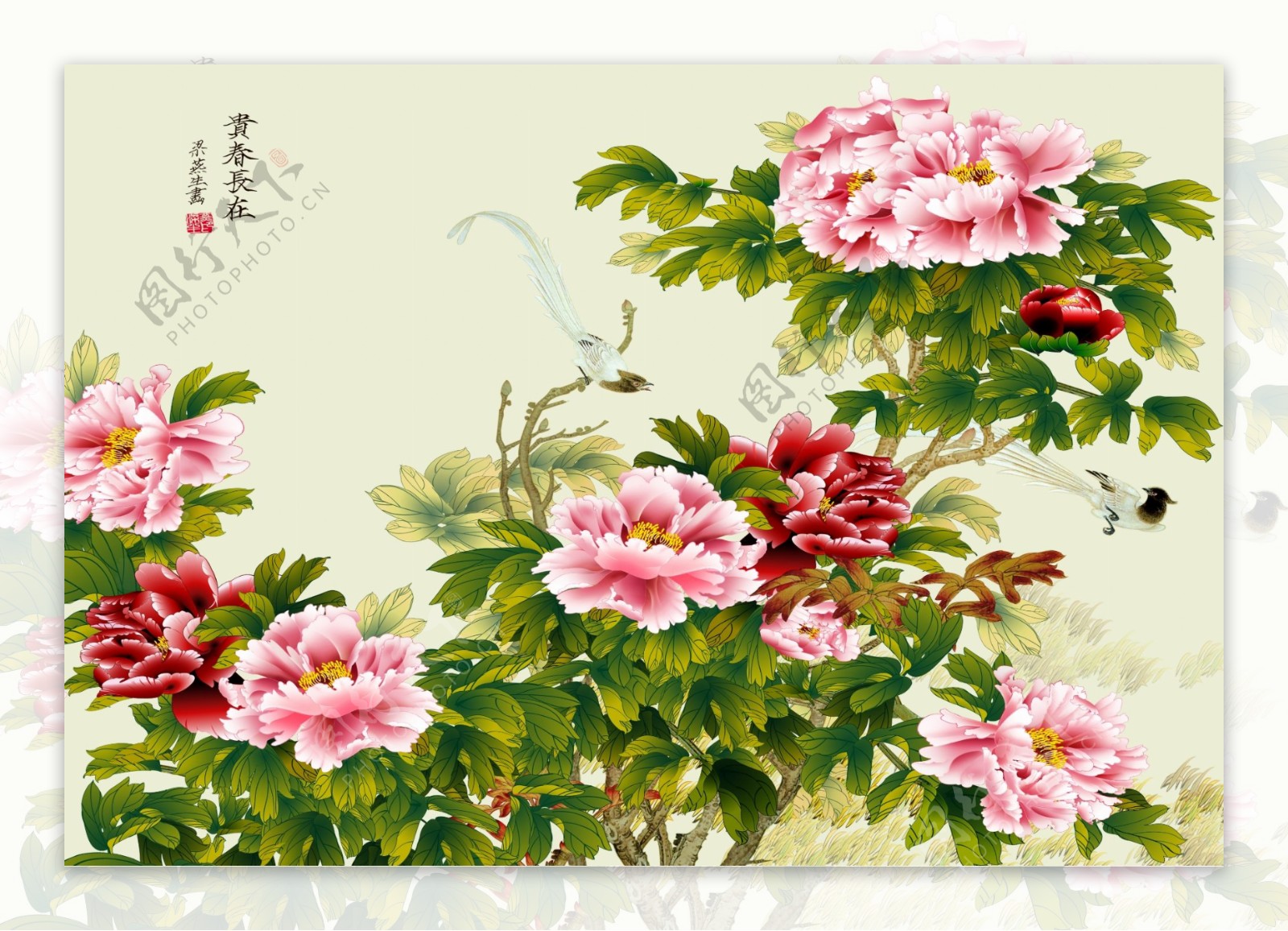中国风牡丹画背景墙