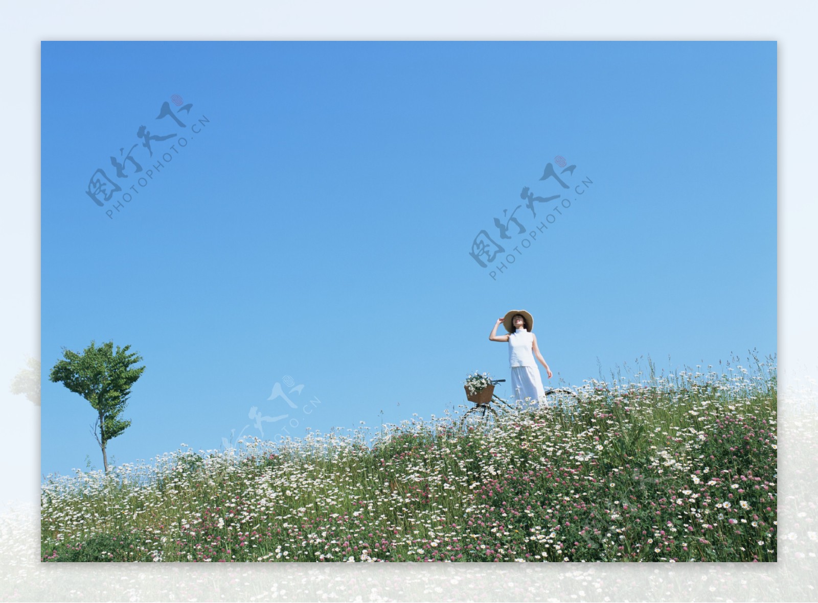 站立在花丛中的女人图片