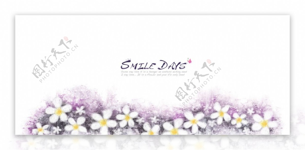 紫色浪漫花卉背景源文件