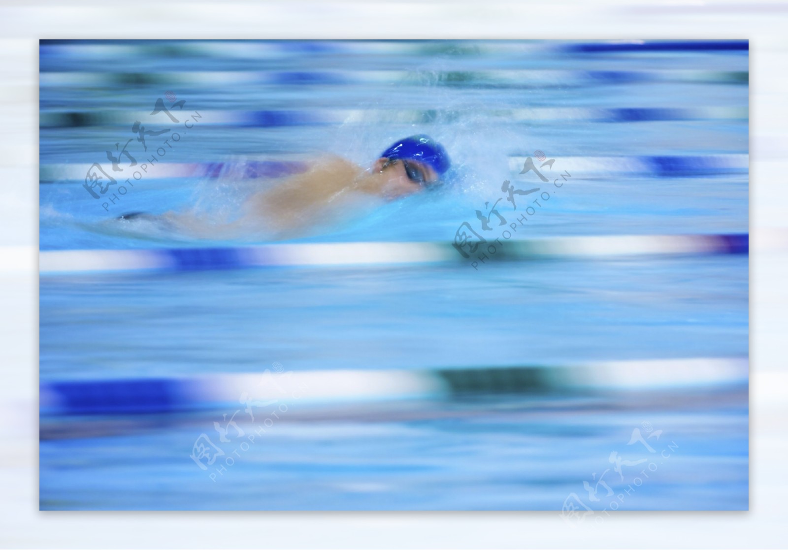 游泳的速度图片