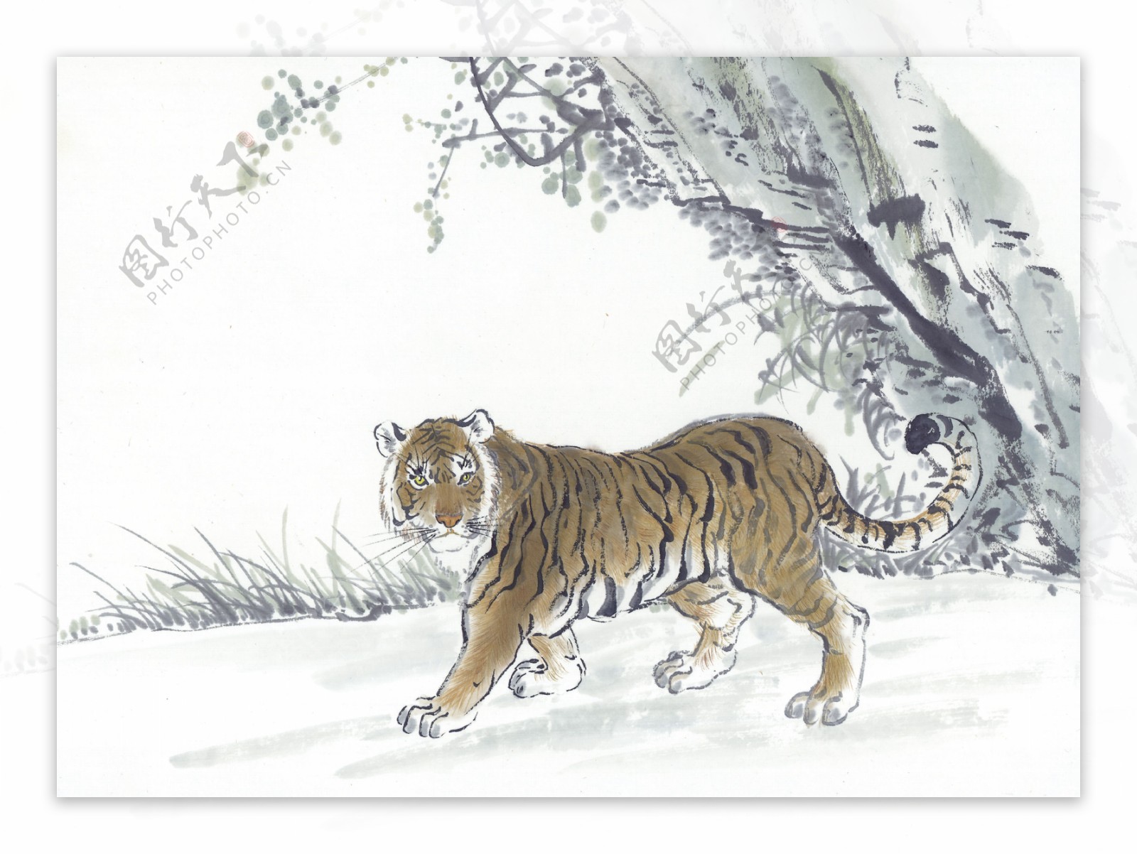 虎写意动物画国画0003