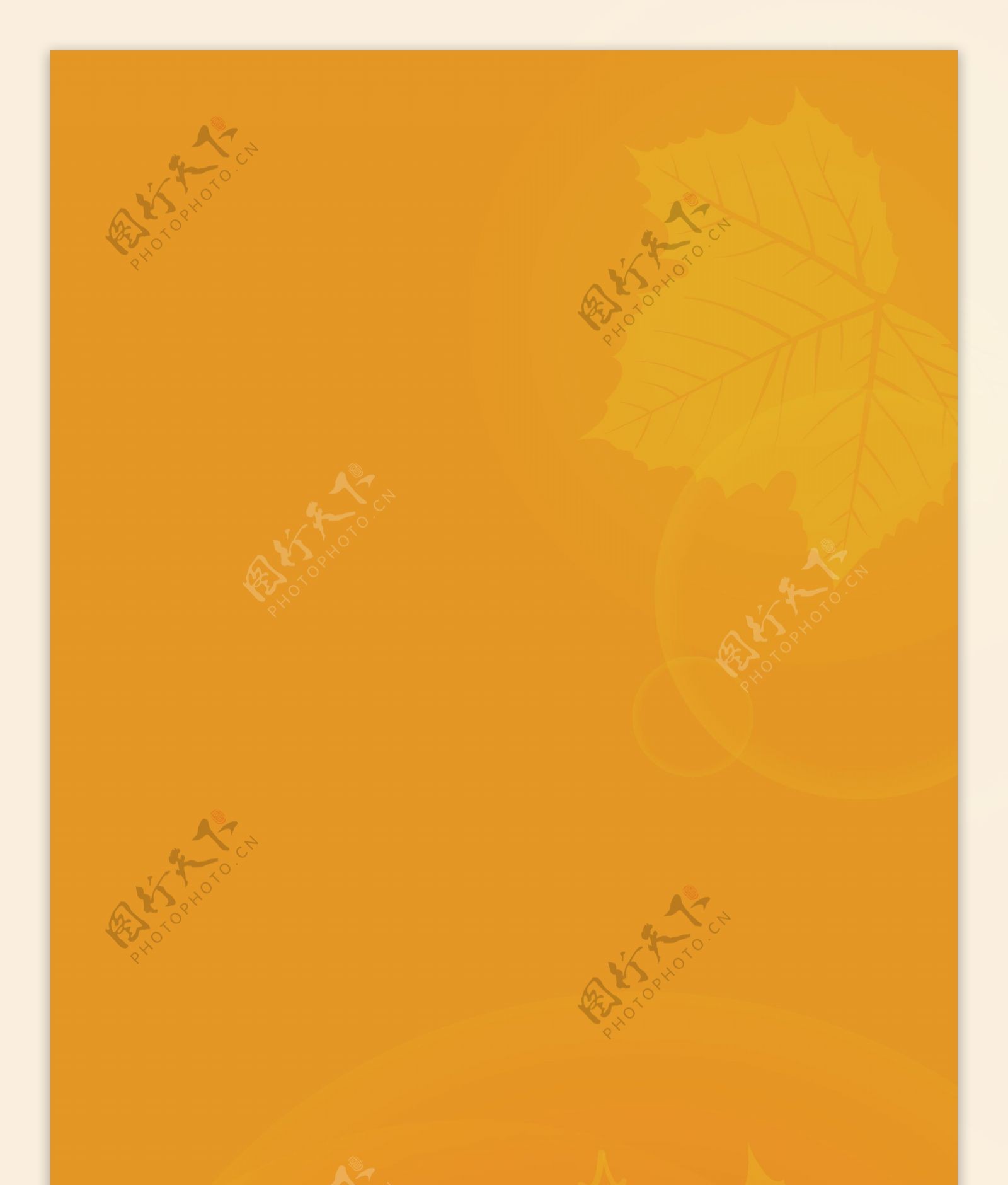 橙色花纹背景EPS