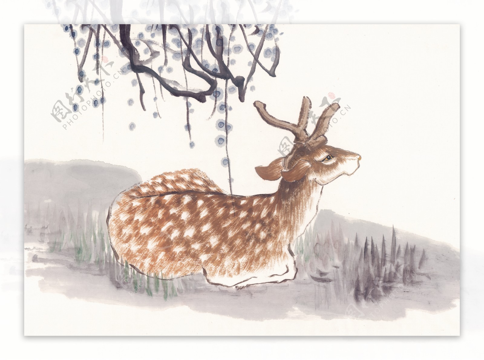 鹿动物画国画0085
