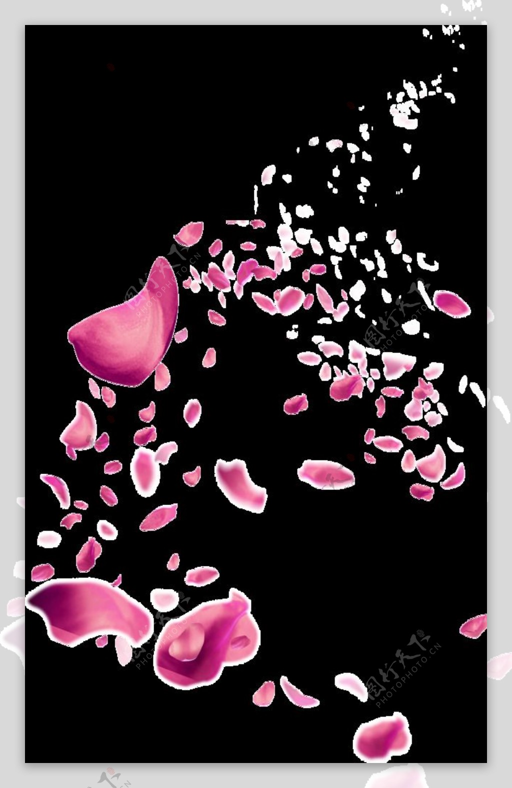 粉色花瓣飘落gif动图素材图片免费下载_高清psd_千库网(图片编号11871391)