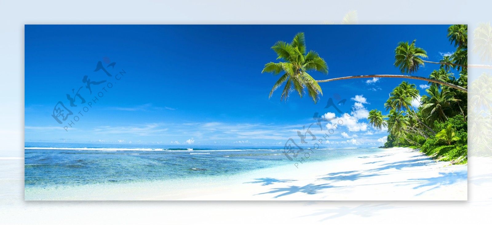 摄影风景大海沙滩蓝天白云椰树