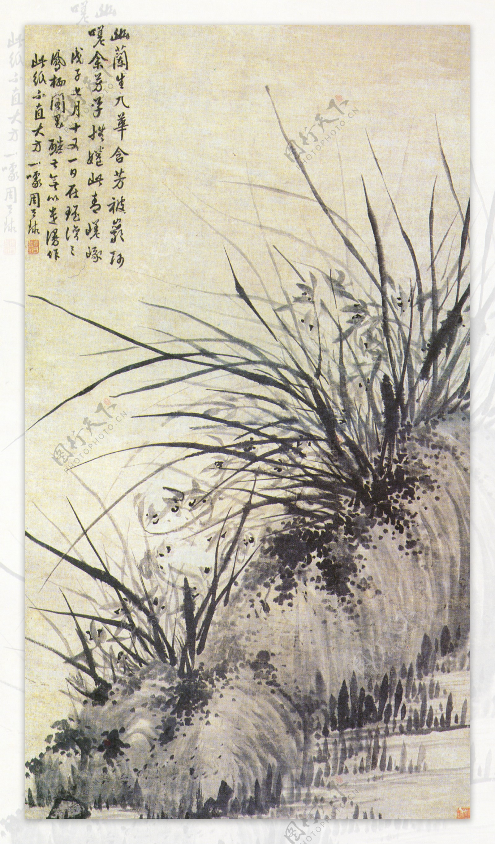 兰花中国画古典藏画
