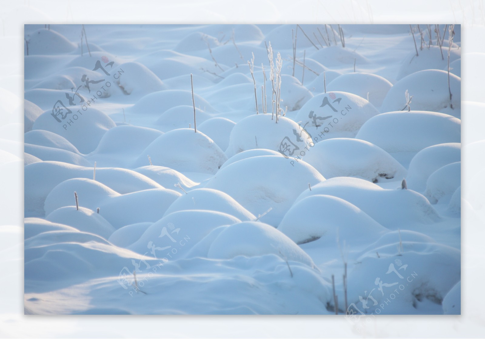 雪景图片