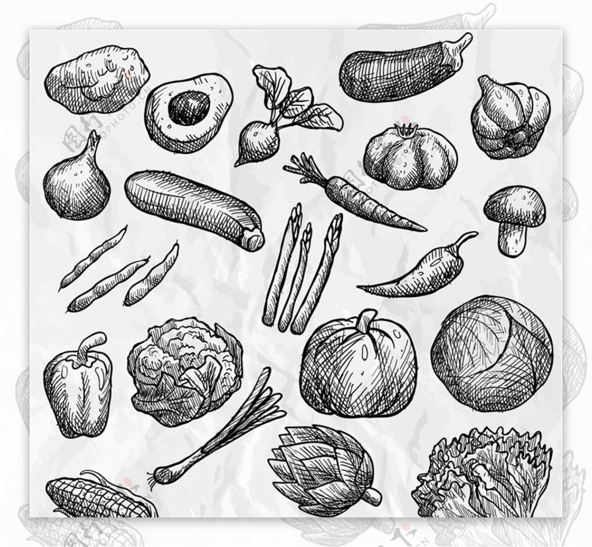 21款手绘蔬菜设计矢量素材