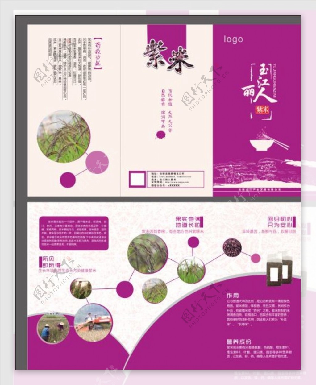 紫米三折页