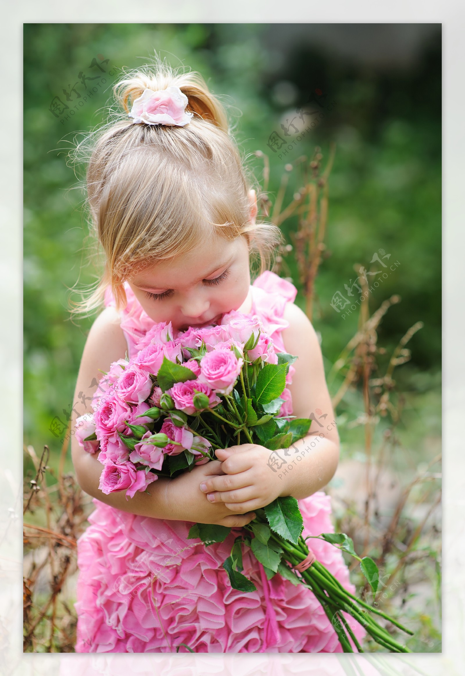 怀抱粉玫瑰的小女孩图片