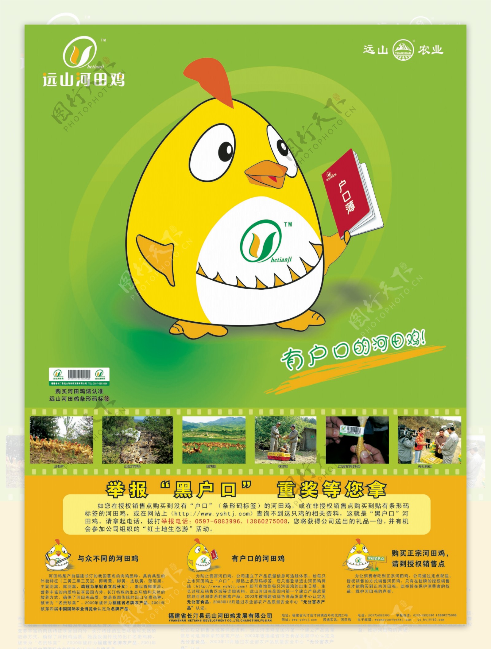 远山河田鸡食品餐饮平面创意JPG0550