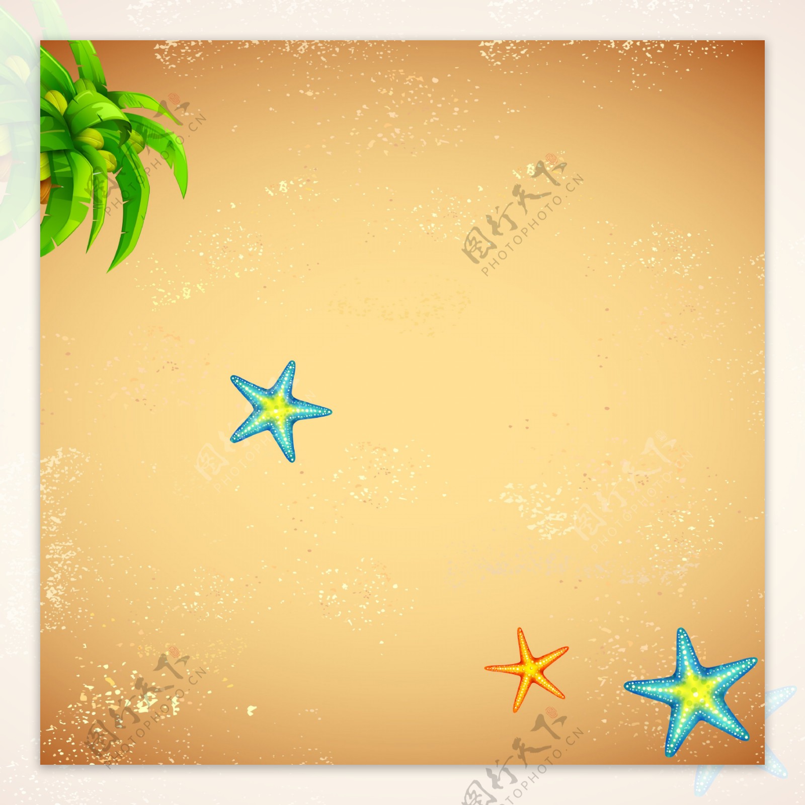 沙滩海星背景