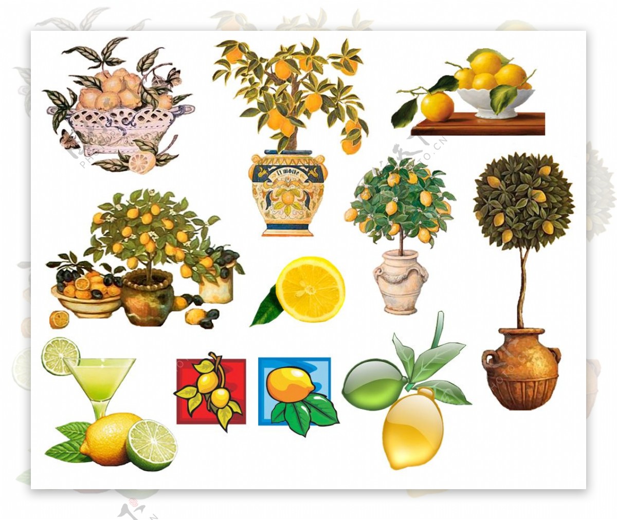 盆栽柠檬树和柠檬汁图片