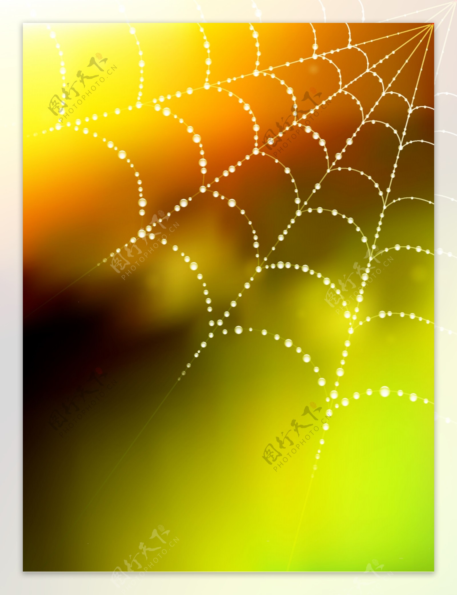闪烁的蜘蛛网模糊的背景与液滴